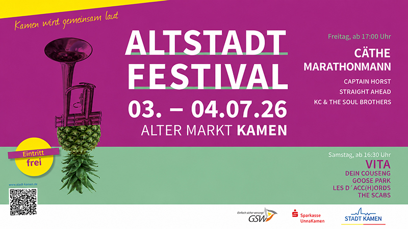 Altstadtfestival 800